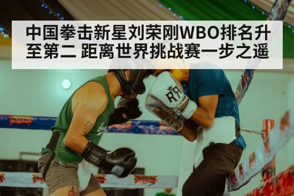 boxing training