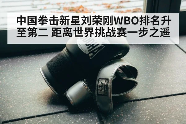 boxing gloves